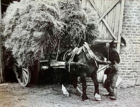 L'histoire de la ferme