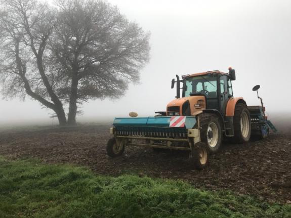Temps de la moisson