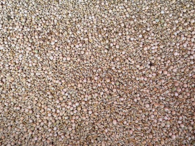 Mélange orge/Pois