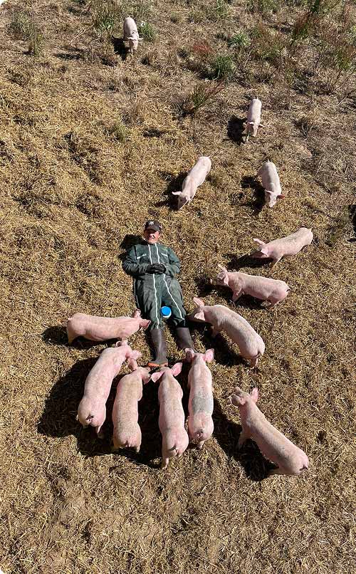 Agriculture Biologique